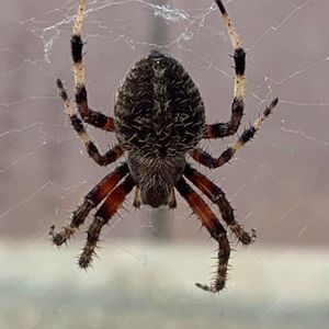 Meet your Posher, Marc